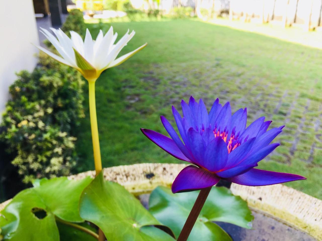 فندق Mutiara Bali تْشانديداسا المظهر الخارجي الصورة